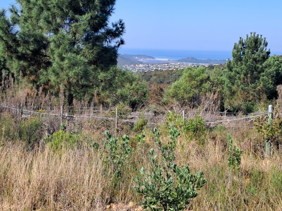 2 Bedroom Property for Sale in Rheeboksfontein Western Cape